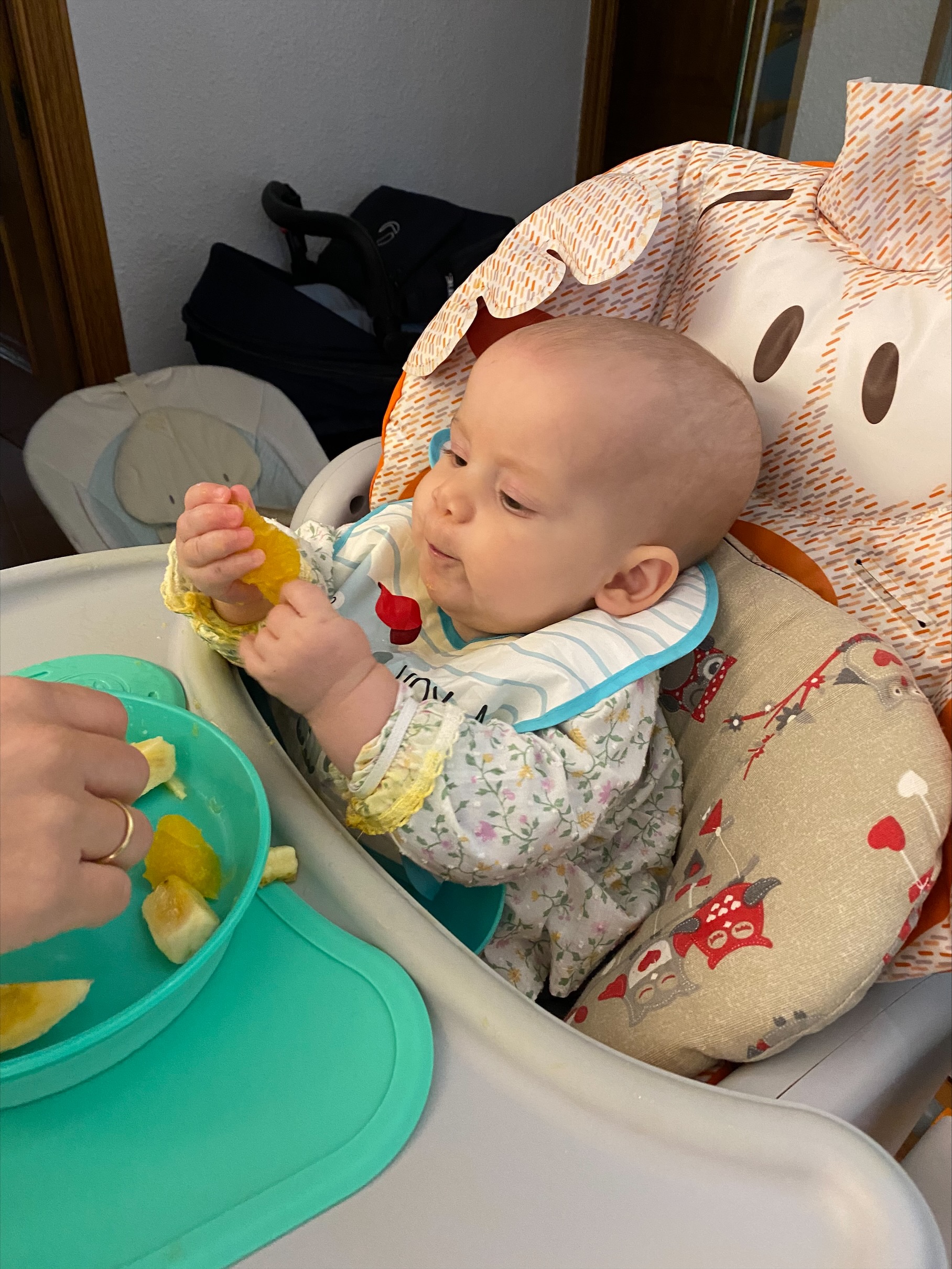 Alimentación complementaria y Baby-led weaning: todo lo que debes saber  explicado por los expertos